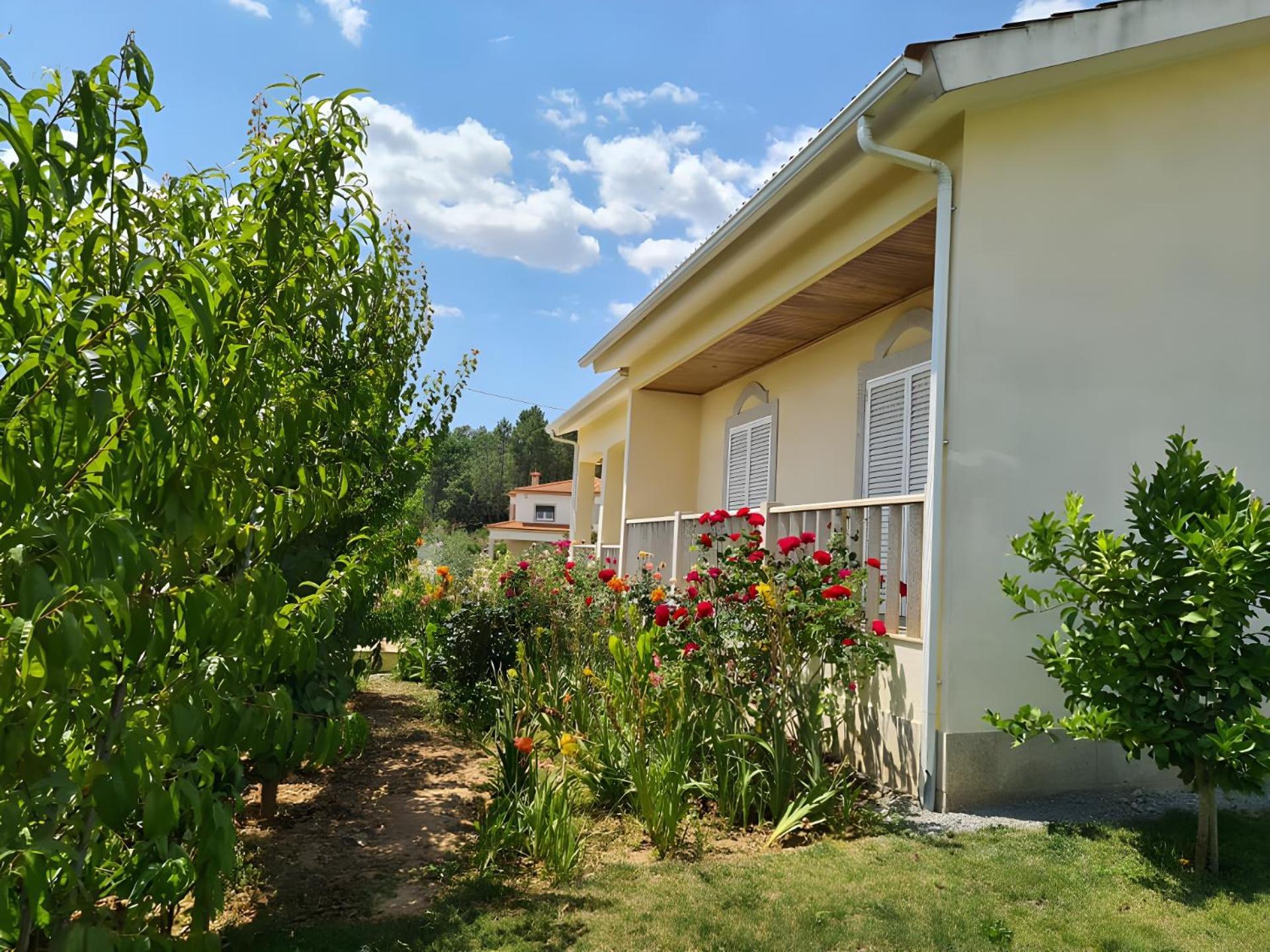 Panoias Country House Vila Real Exterior foto
